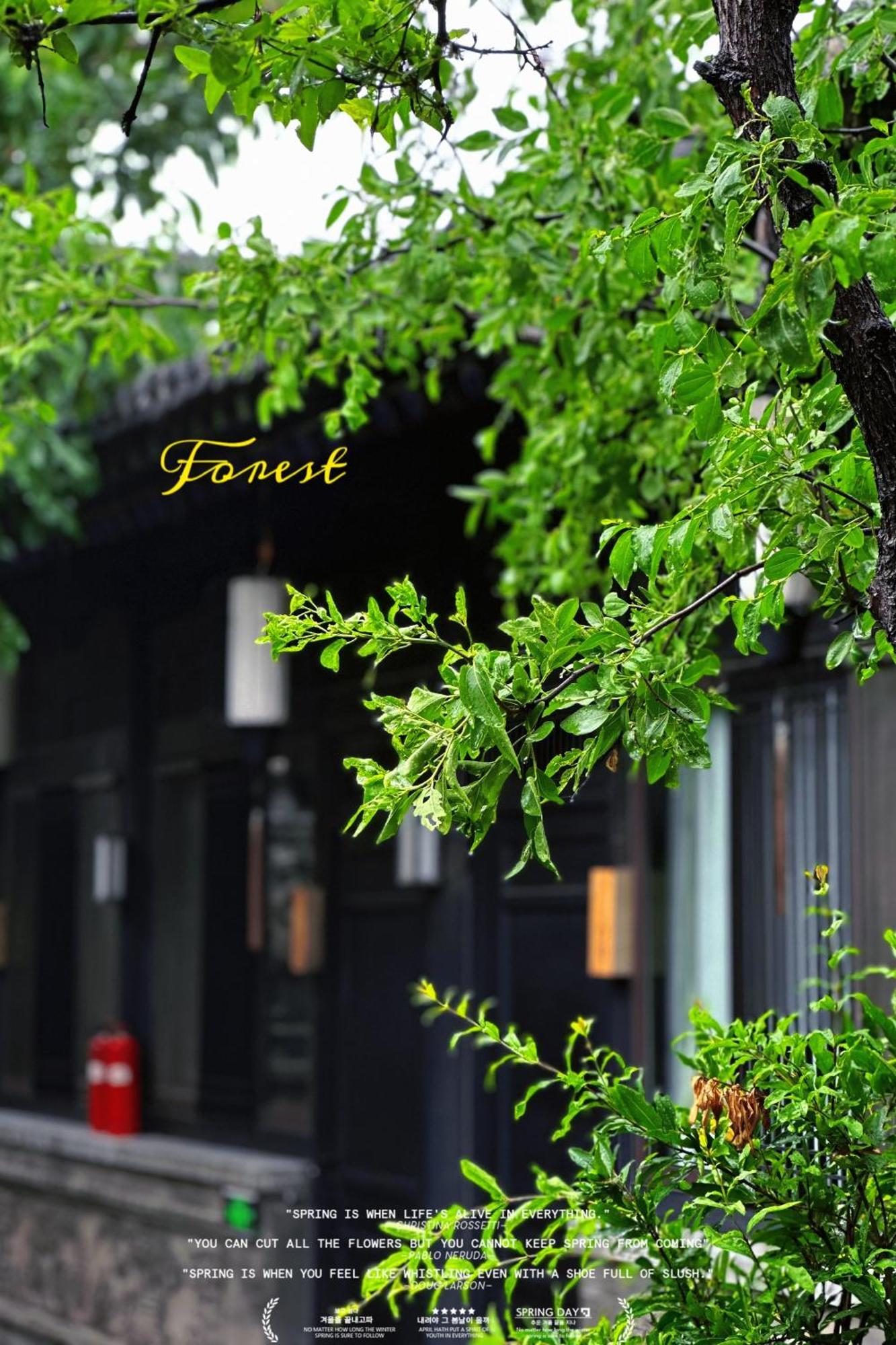 Elsewhere Hotel Inn North Street Branch Pingyao Buitenkant foto